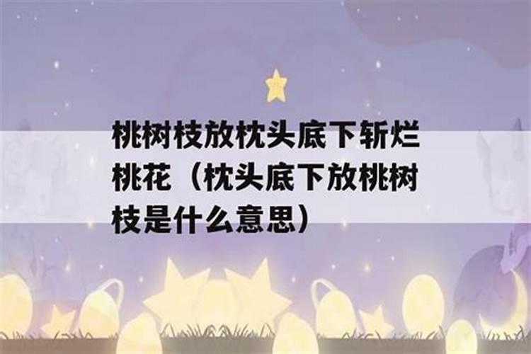猫咪总是缠着主人,主人该怎么办呢？
