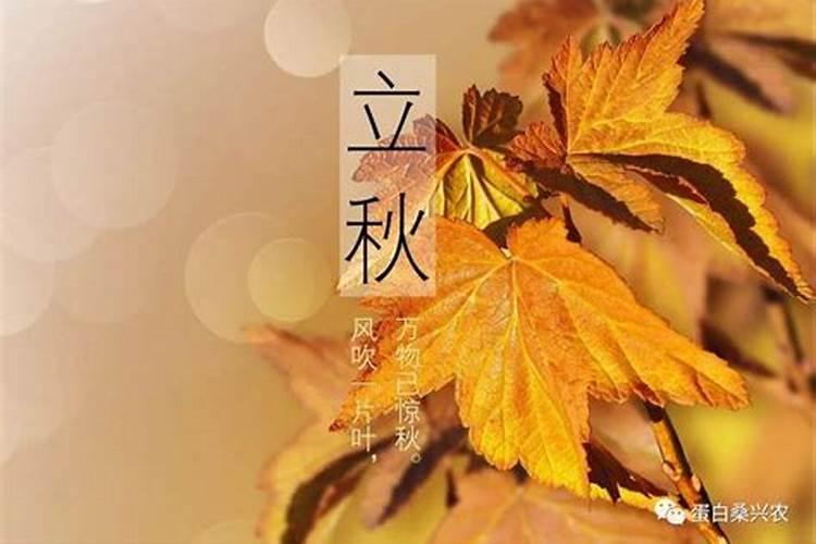 立秋节气的由来 立秋节气的来历