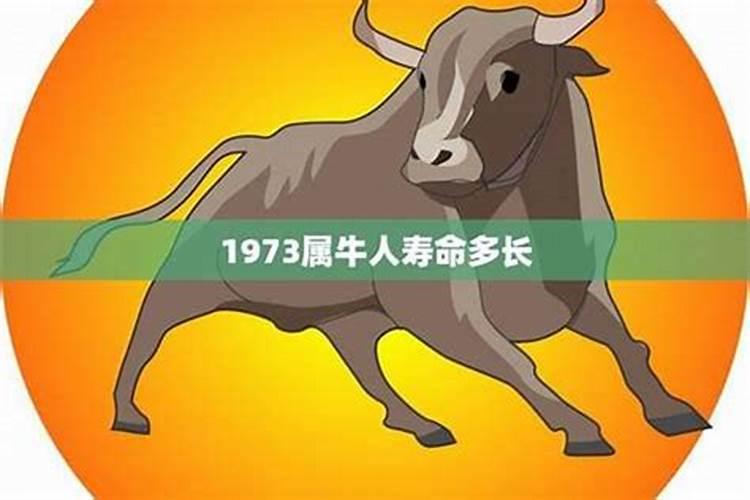 91年的羊2025年运势怎么样