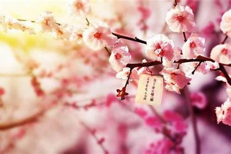 男人催桃花运的9种方法