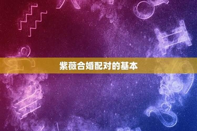 十二生肖2025年4月中旬开始最好