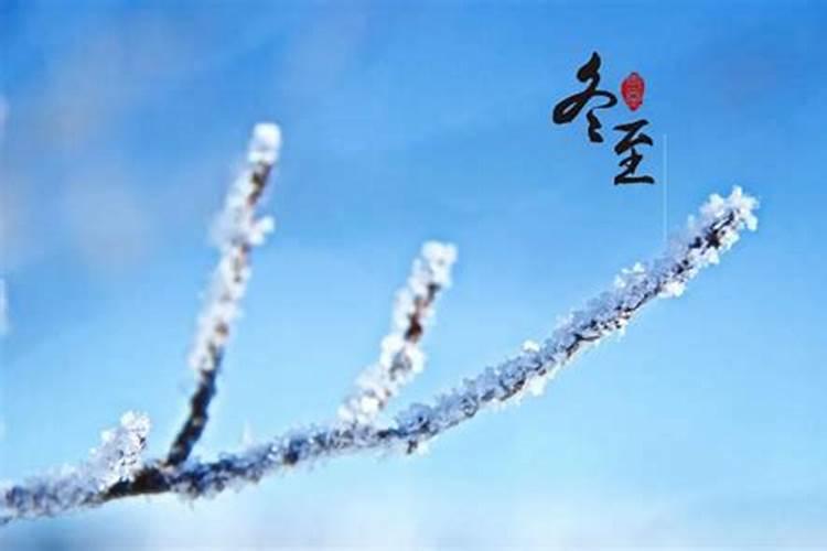 2025年属马4月份运势