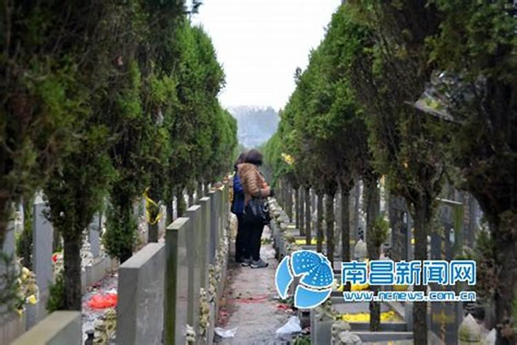 属马人4月份运势如何