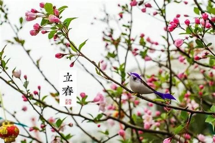 八字看学业考试是否顺利