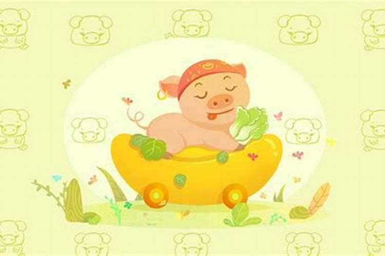 属相狗的人猪年运势怎么样