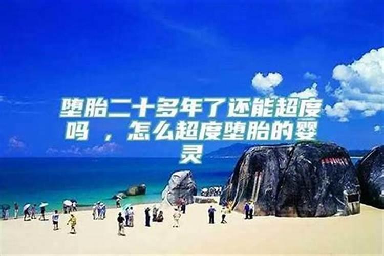 54年属马人2024年运势运程