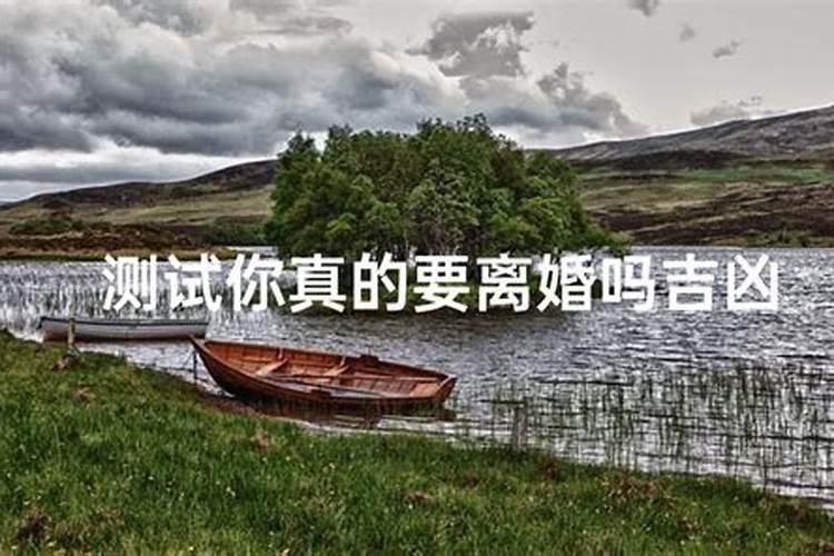 十二生肖兔子与什么属相相冲,属兔与什么属相相合,相冲？