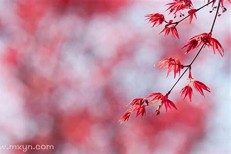11月是冬天吗11月份入冬了吗