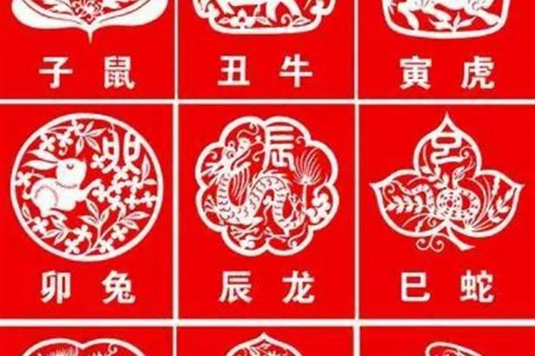 羊和蛇的属相合不合