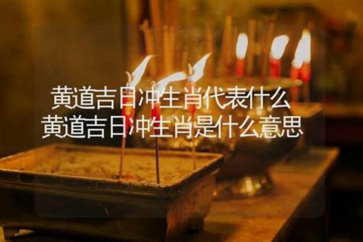 属兔的遇到鼠年好不好,鼠年对属兔的人怎么样