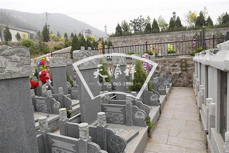 厂房大门口放什么植物好