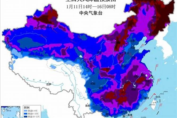 71年属猪的人2024年的运势及运程