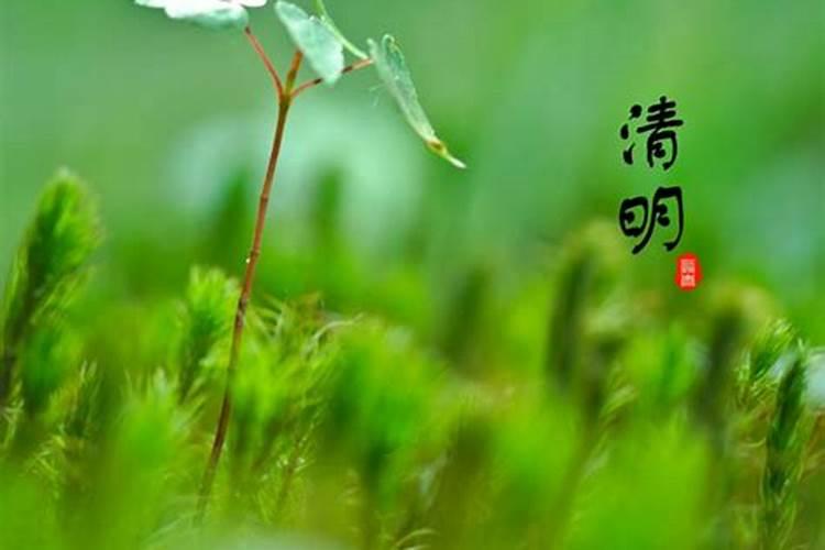 清明节是农历几月几日