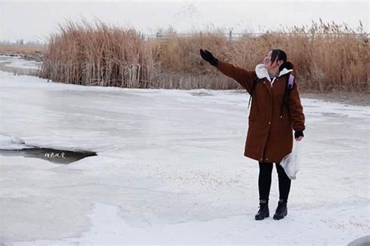 东躲西藏进草地,寒冬腊月喜睡觉,是解什么生肖