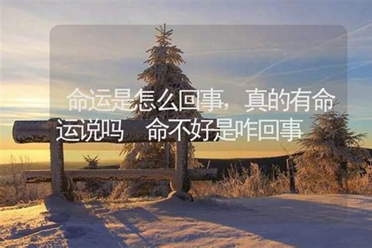沈阳除夕初一公交休息吗
