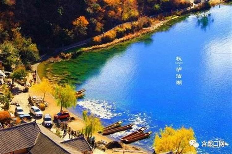 樟树什么时候开花 一般几月份会开花