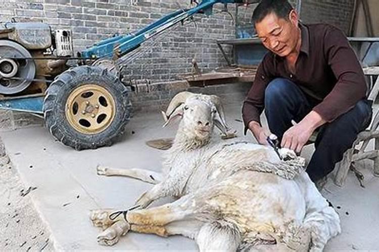 清明烧纸时间有什么讲究