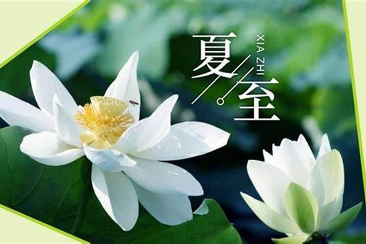 属虎人2025全年运势详解 属虎人2025年每月运势