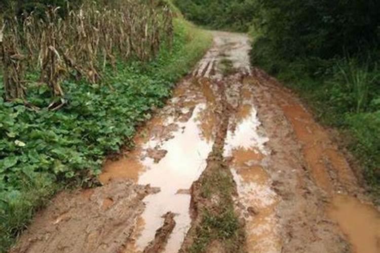 梦见回家的路上受阻有什么预兆？