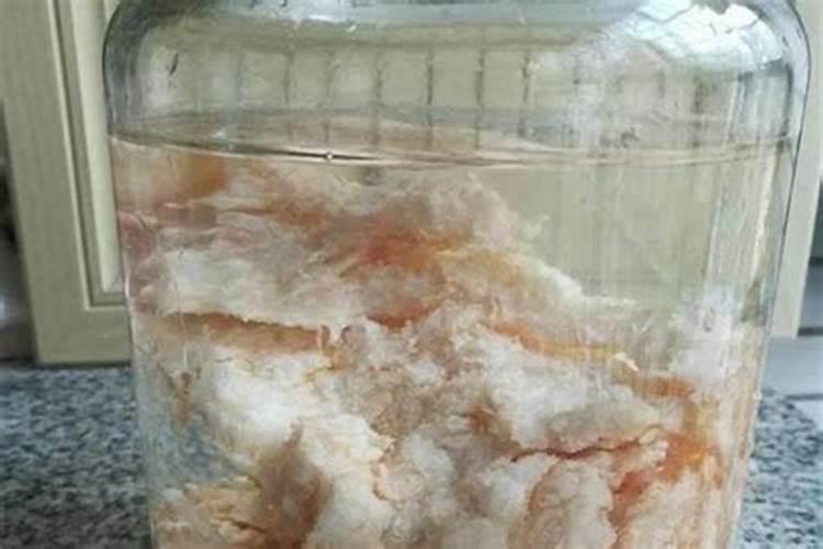 92年属猴的,农历腊月十八出生的人的命运