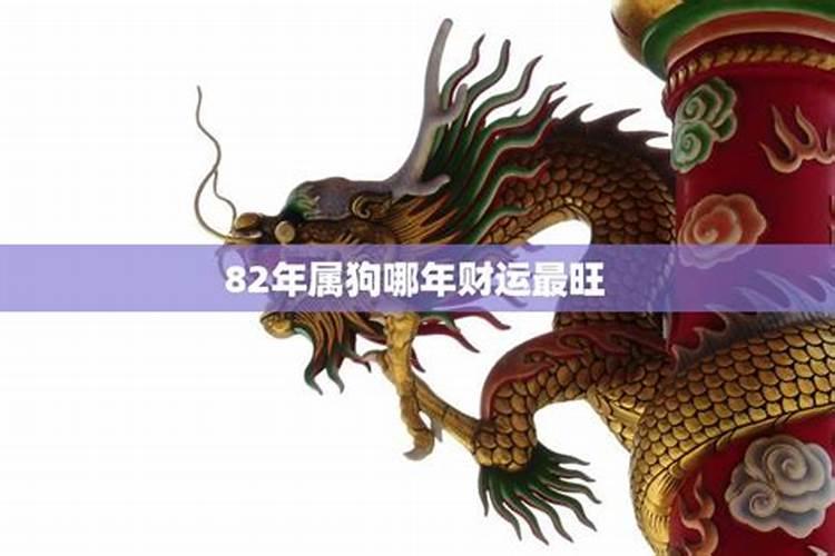 82年狗女哪一年最难熬