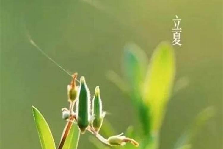 本命年见死人好不好 见丧事会怎么样？