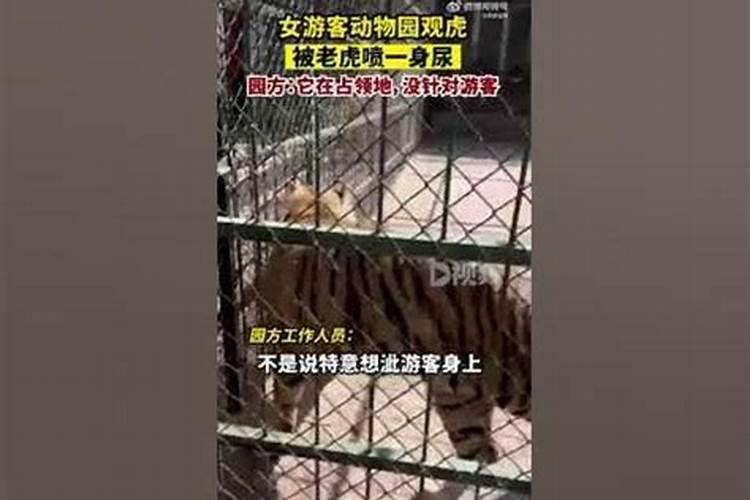 2022冬至烧纸需要避开城管吗？