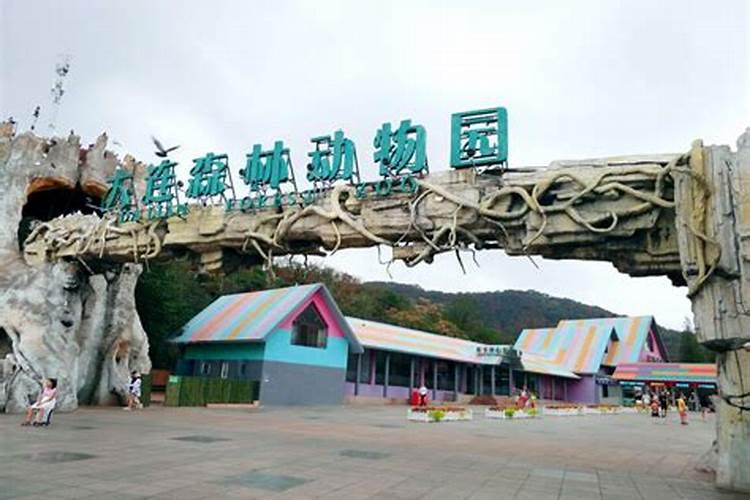重阳节大连圣亚的老人票价只有50元？