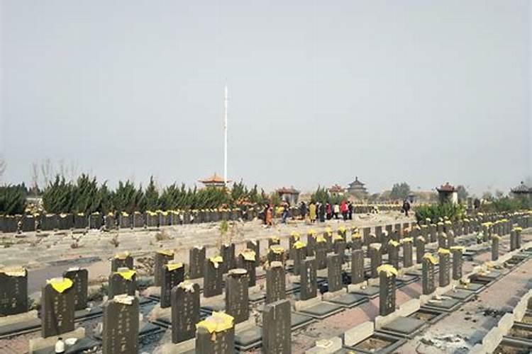 梦见黑色的狗死了的预兆