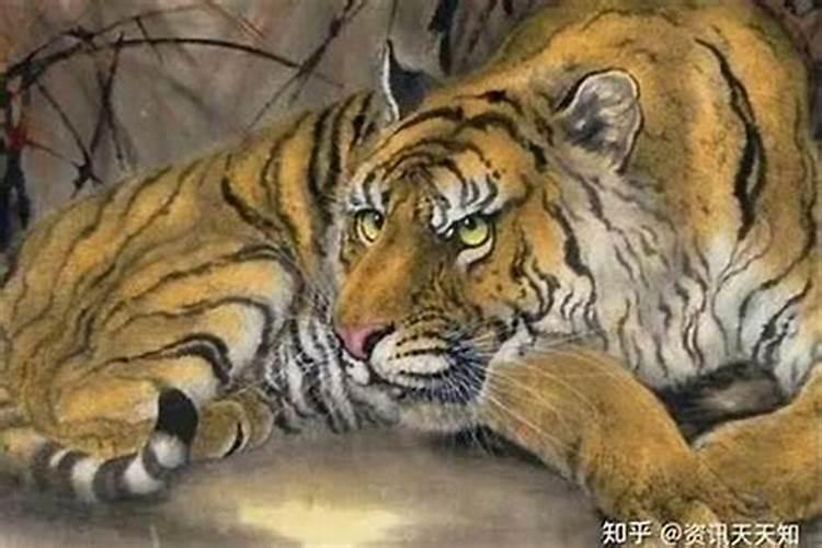 本命年不办婚礼能领证本命年可以领证登记吗