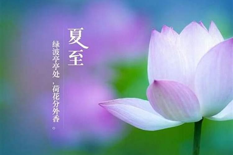 今天夏至有什么说法