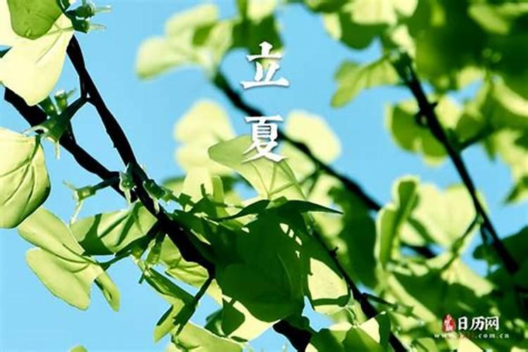 清明节在家拜祖先是要拜地主,和门口土地,里亲外戚吗