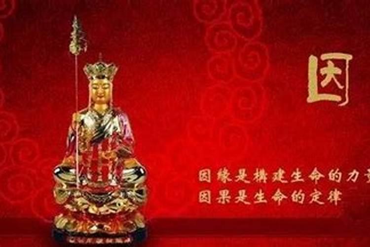 董易奇十二生肖2025运程