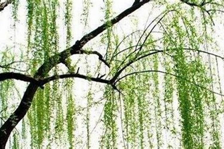 算命说口舌多什么意思