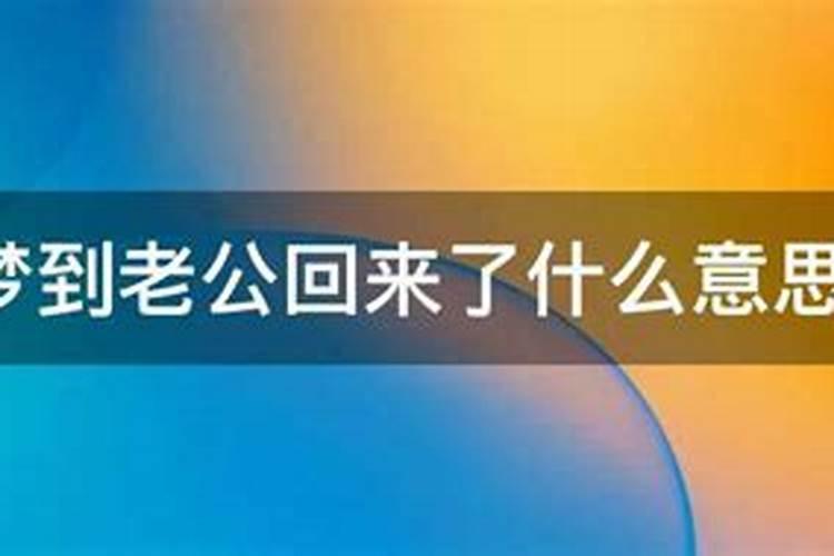 属兔未来三年桃花运