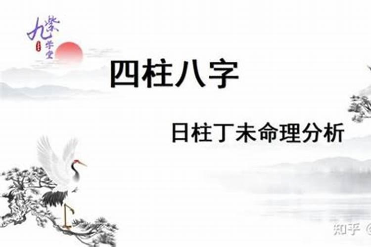 壬戌年 丁未月 辛丑日 壬辰时,请教运程