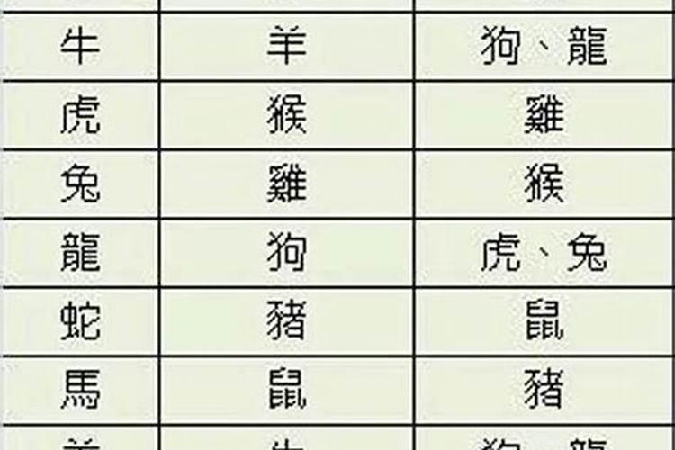 2025年4月28号生肖运势