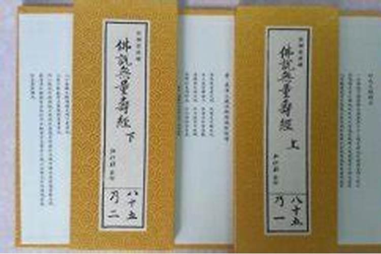 什么叫犯将军箭
