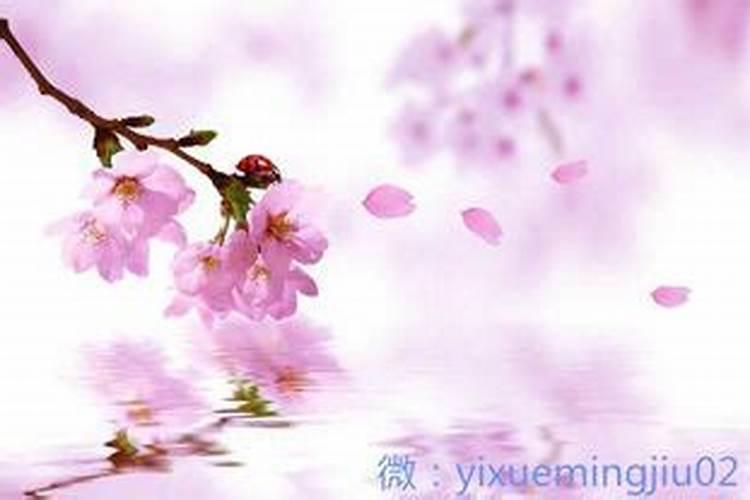 十月初一生男孩有什么说法