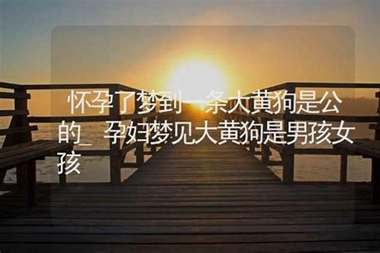 成都市区过年哪里好玩 成都过年玩什么
