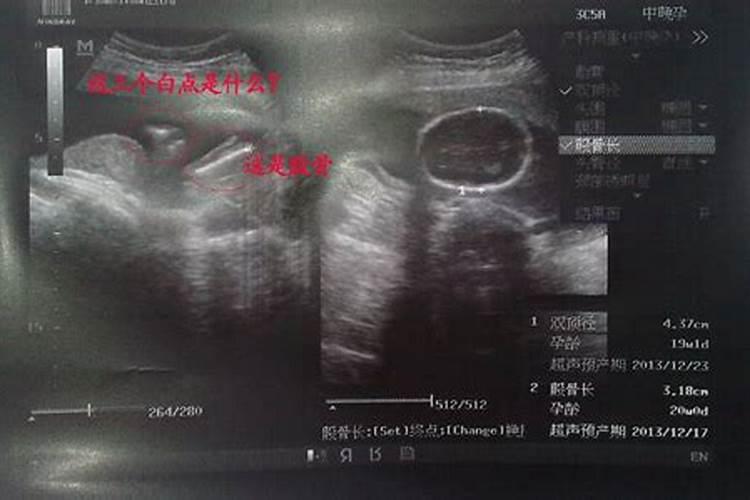 1988年冬至是几月几日