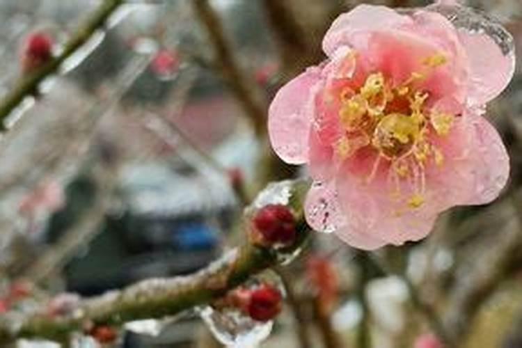 怎么样才能招桃花运