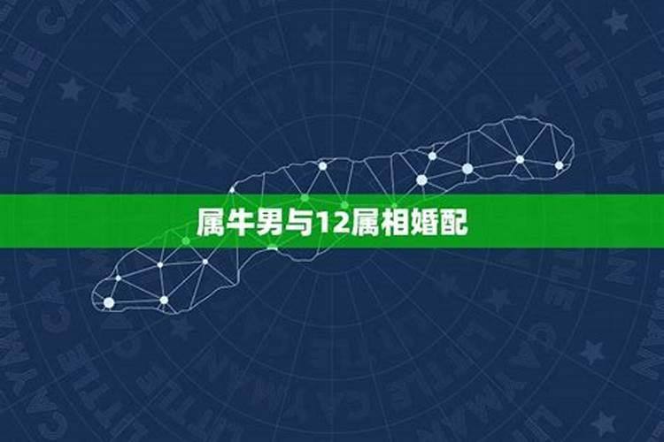 属龙的64年跟属牛的女人85年