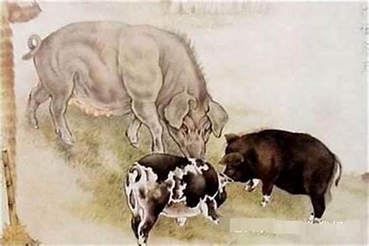 本命年戴黑绳子可以吗