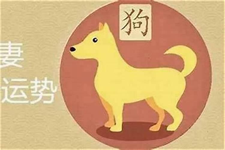 94年农历五月十四日生属狗的与什么属相的人婚姻最相配
