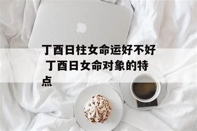 属鼠的人2025年运势及运程每月运势如何
