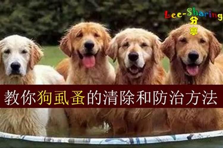 在家里给亡人超度有效果吗？在寺庙做法事都能及时超度么
