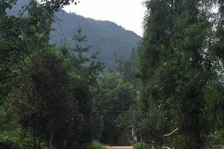 做梦梦见马是什么意思？