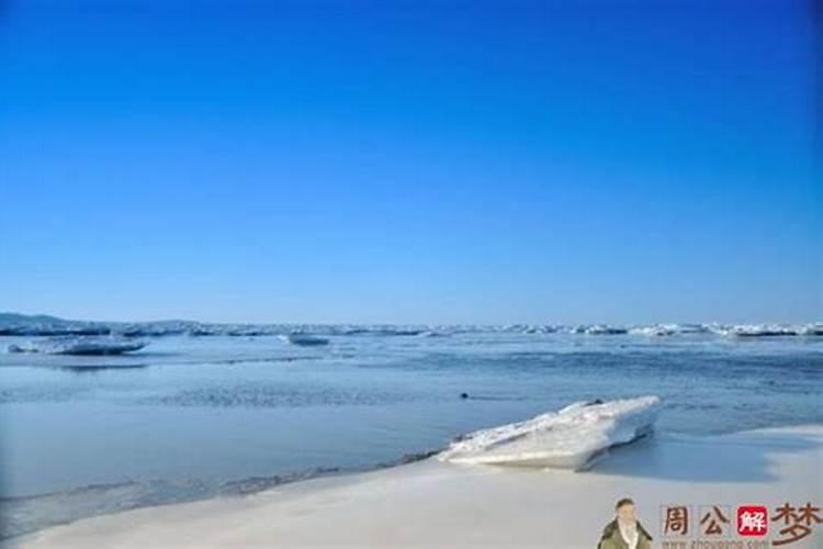 我梦见海水泥变成大海龟什么意思