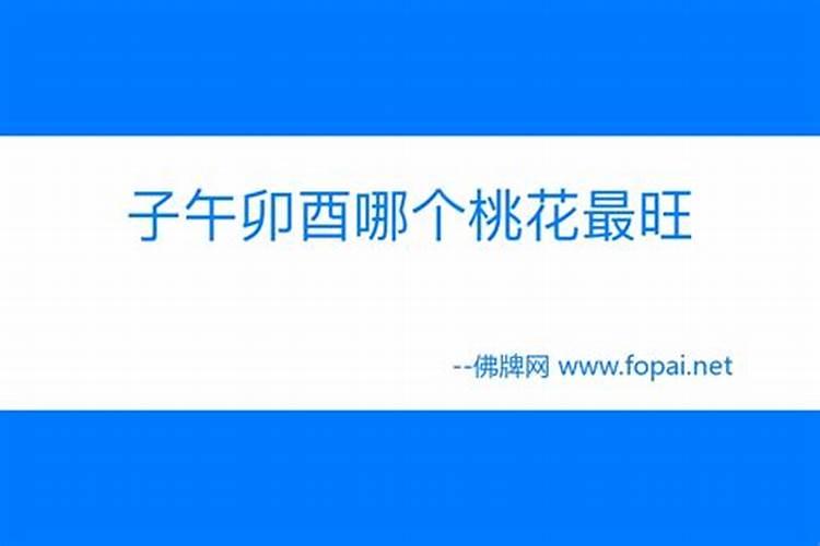属鸡人2025全年运势 属鸡人2025年每月运势